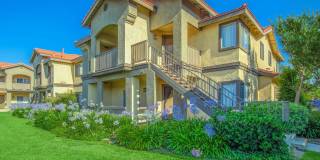 Club Pacifica Gallery 9