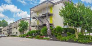 Bluffs over Cumberland Gallery 12