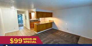 Fifth Avenue Gallery 1