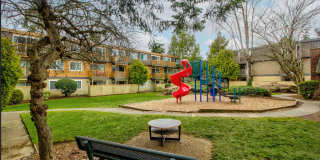 Heather Ridge Gallery 6