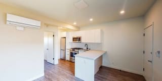 Santa Monica Palms Gallery 11