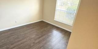 Cozy 4/2 Single-family home in beautiful Groveland!! Gallery 20