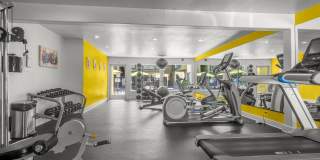 Sunset Square Gallery 58