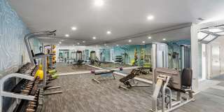 Avana Star Lake Gallery 90