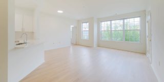 The Landings at Port Imperial Gallery 52