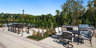 Molly Brook on Belmont Gallery 15