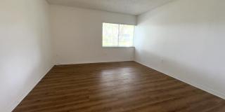 701 N Pine Island Road Gallery 10