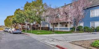 1457 North Camino Alto 1457 North Camino Alto Gallery 1