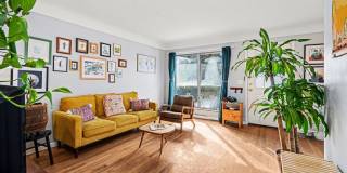 924 Lutz Avenue Gallery 6