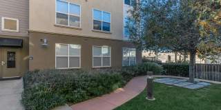 The Village at Town Center Gallery 25