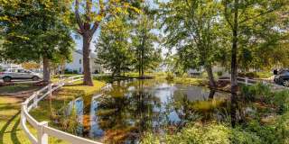 Birch Pond Gallery 22