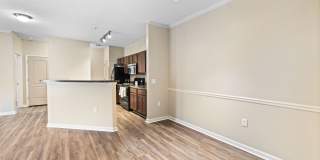 Odyssey Lake Apartments Gallery 44