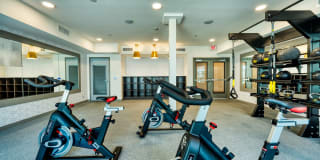 The Rey Downtown Gallery 24