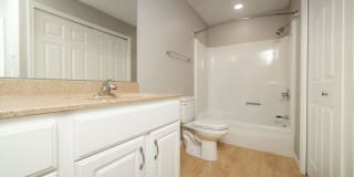 South Meadows Gallery 12