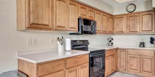 25615 N SAGO Drive Gallery 10