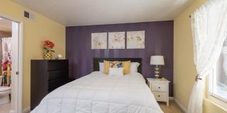 3843 Riviera Drive Gallery 18