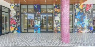 Altis Little Havana Gallery 2