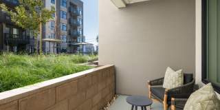 The Lafayette Gallery 31