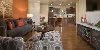 San Privada by Mark-Taylor Gallery 8