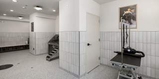 Abberly Royal Creek Apartment Homes Gallery 51