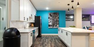 The Residence at 1000 Elm Gallery 79