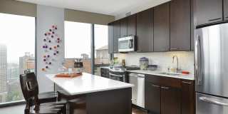 State & Chestnut Gallery 10