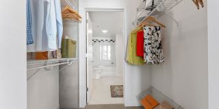 Skyline 776 Skyline 776 Gallery 5