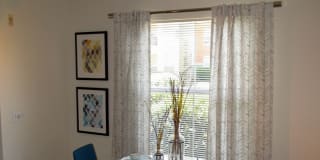 TGM Bermuda Island Gallery 5