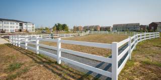 The Links at Gleneagles Gallery 7