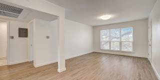 River Oaks Gallery 49