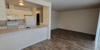 The Woodlands Apartments Gallery 5