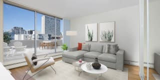 The Terraces Gallery 5