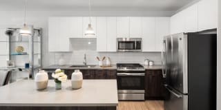 Harbor Landing Gallery 22