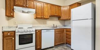 Two bedroom updated paint, carpet washer/dryer included in unit - Immediate Move In Gallery 6