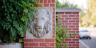 Lionsgate South Gallery 36