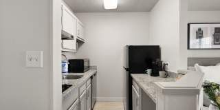 AVIA North Shore Gallery 5