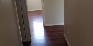 1447 E Mia Ln Gallery 4