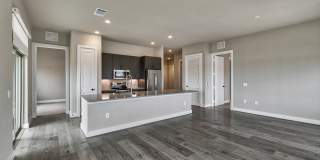 Windsor Burnet Gallery 17