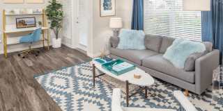 Arya at Hedges Creek Gallery 1