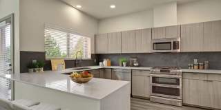 The Carillon Apartments Gallery 1