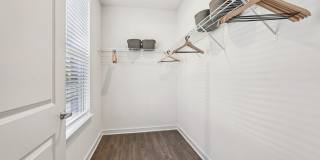 Ascend at Carlton Gallery 60