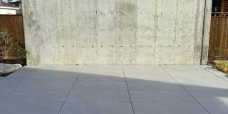 Silver Maple Stunning Gallery 35