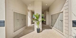 Water Oak Gallery 72