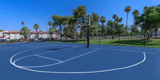 Aster on University Gallery 18