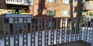 Close to Stapleton - Anschutz - DIA - Renovated 1 Bedroom With Balcony Gallery 44