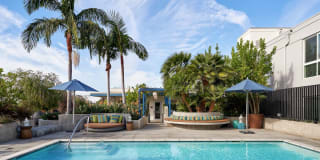 Angelene Apartments Gallery 2