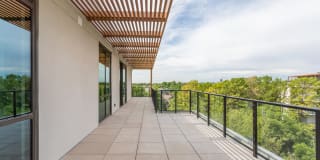 The Village Drey Gallery 34