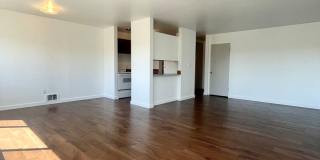 Bayview Apartments Gallery 42