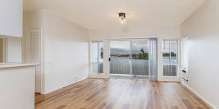 Sunrise 2bd/2ba/2pk Gallery 19