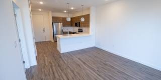 The Madison Gallery 41